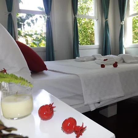 Narli B&B