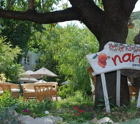 B&B Narli *